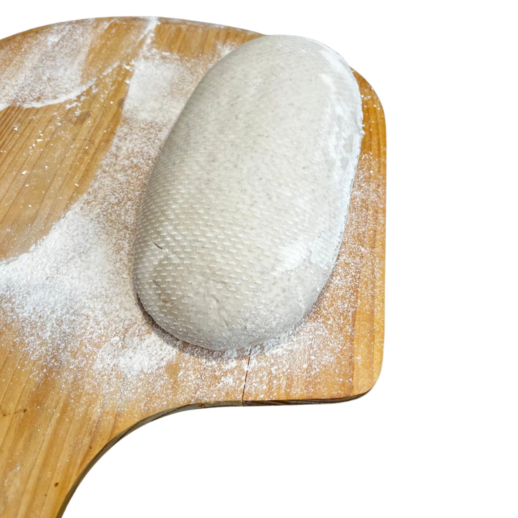 Pokrowiec EVO Special owalny